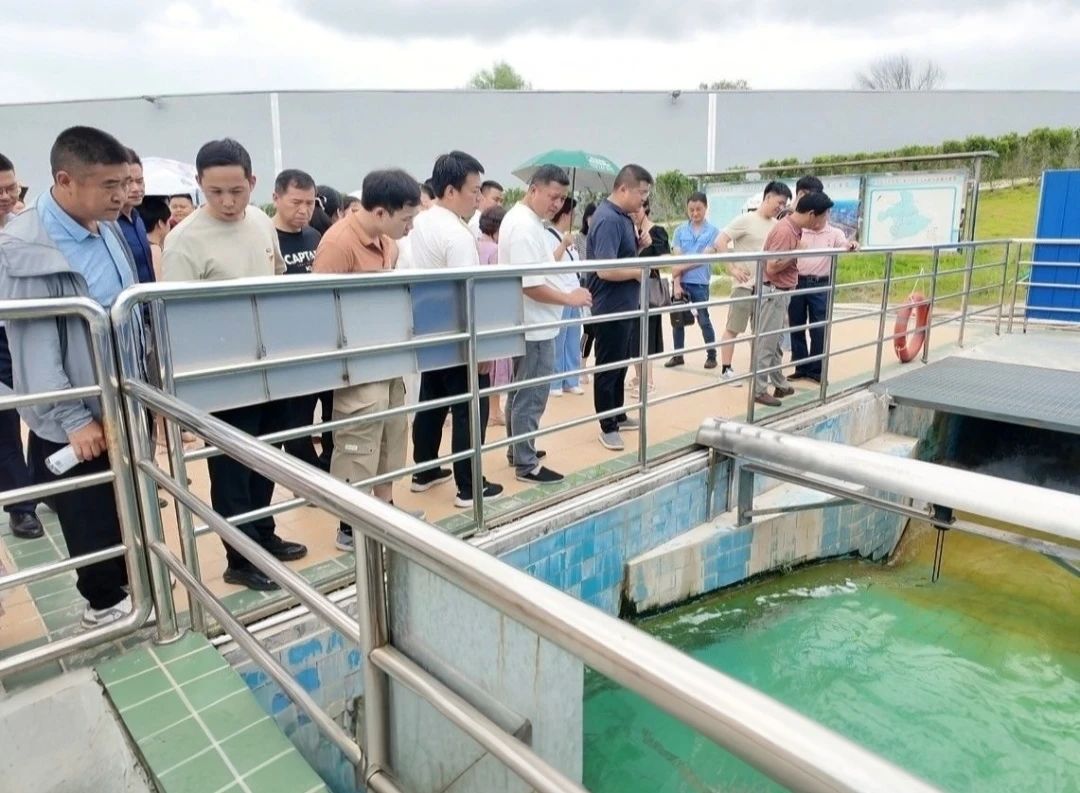 1753665731493526.jpg 1753665731493526.jpg